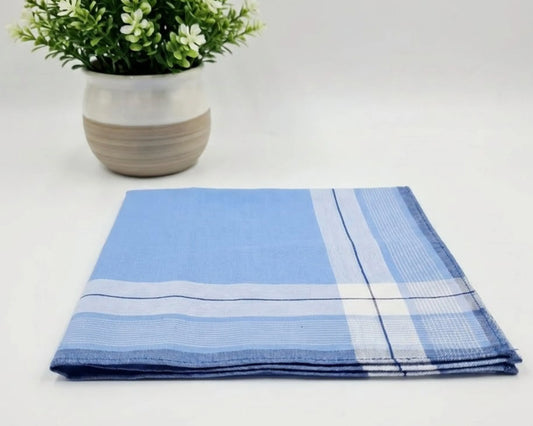Folded blue checkered HANKY next to a potted plant on a white background