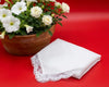 White lace handkerchief on a red surface with a potted plant in the background